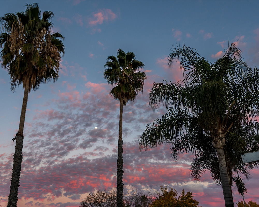 kearny-mesa